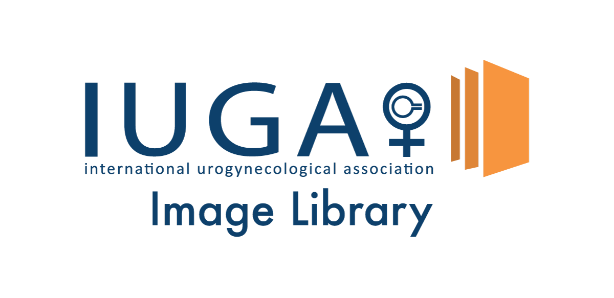 IUGA.logo.Image Library fv