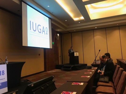 Informe-Curso-SODUP-IUGA-2018