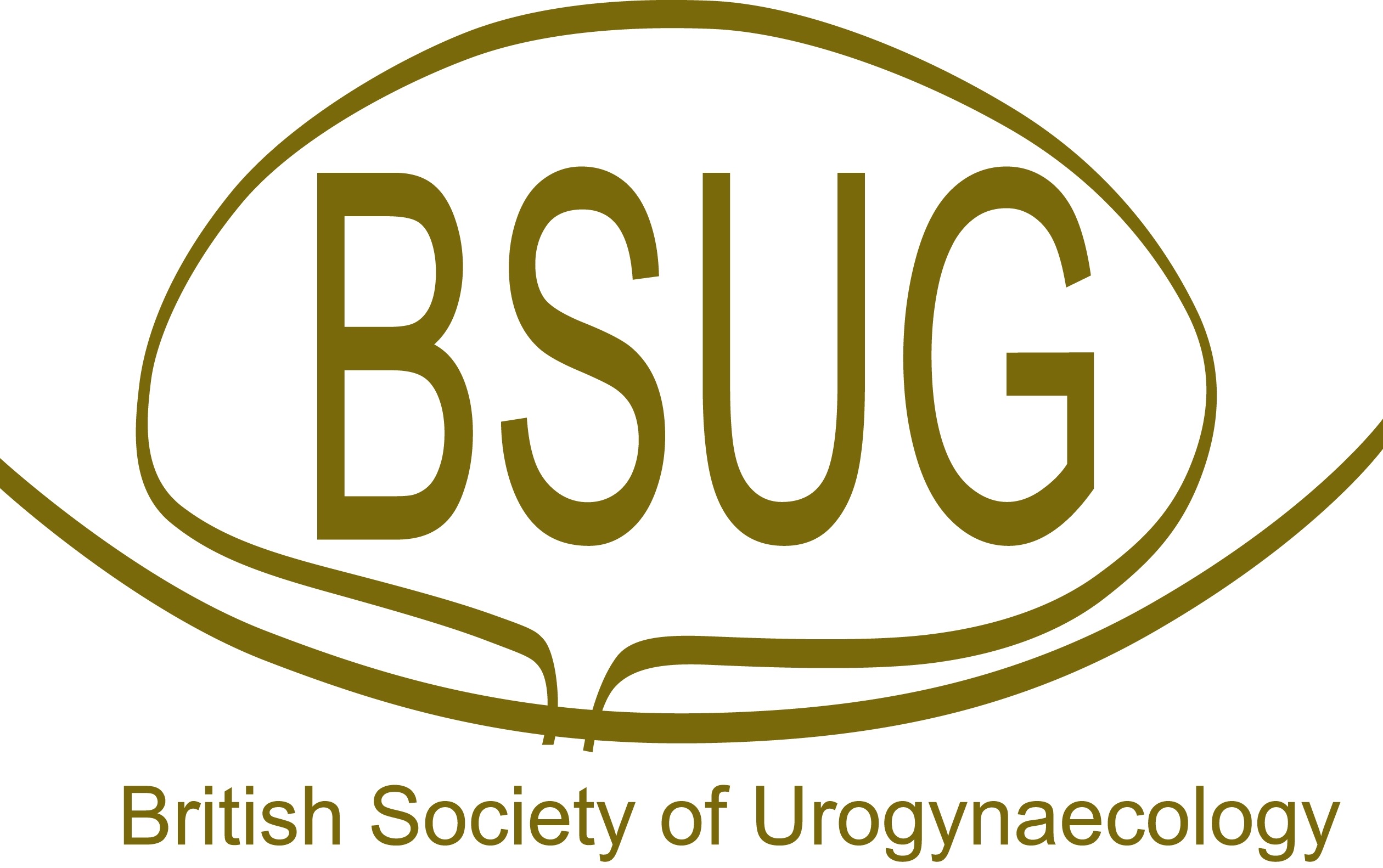 BSUG Organization